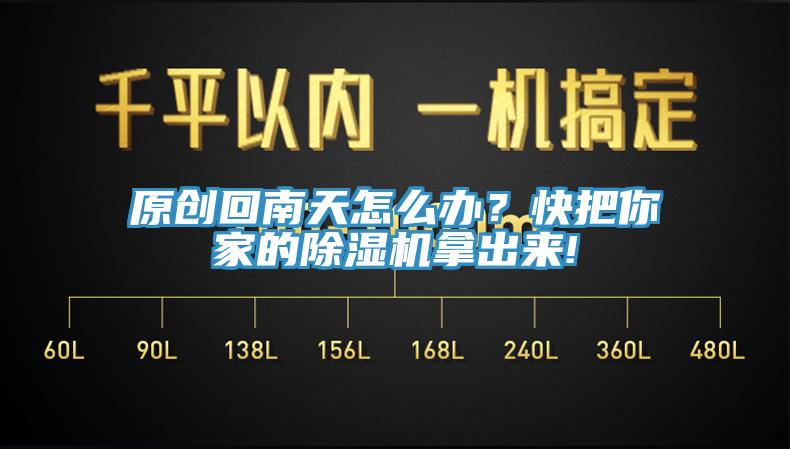 原创回南天怎么办？快把你家的杏仁直播app最新版下载拿出来!