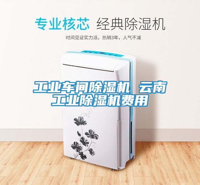 工业车间杏仁直播app最新版下载 云南工业杏仁直播app最新版下载费用