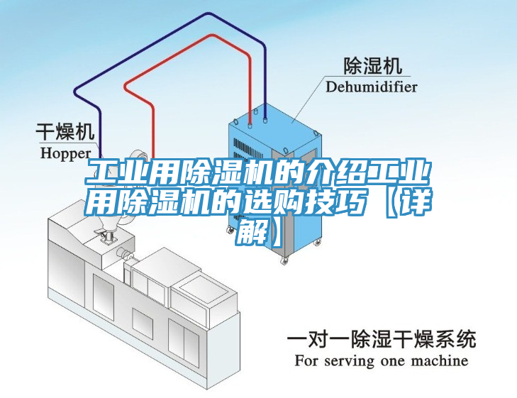 工业用杏仁直播app最新版下载的介绍工业用杏仁直播app最新版下载的选购技巧【详解】