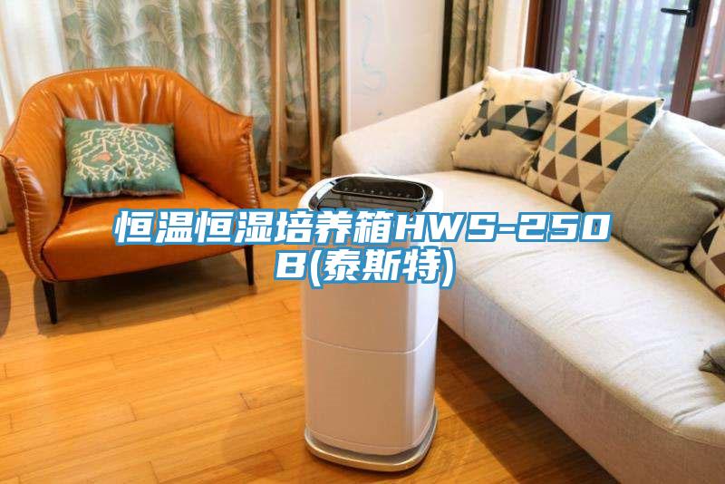 恒温恒湿培养箱HWS-250B(泰斯特)