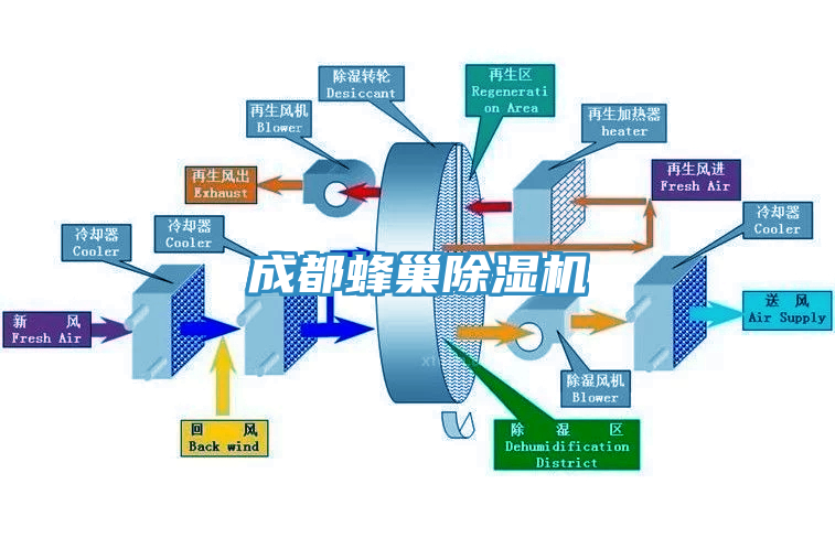 成都蜂巢杏仁直播app最新版下载