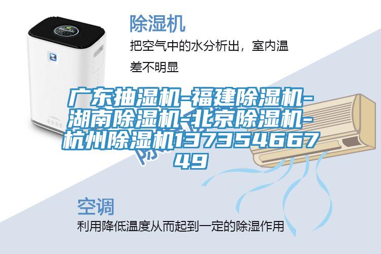 广东抽湿机-福建杏仁直播app最新版下载-湖南杏仁直播app最新版下载-北京杏仁直播app最新版下载-杭州杏仁直播app最新版下载13735466749