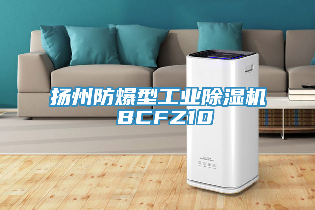 扬州防爆型工业杏仁直播app最新版下载 BCFZ10