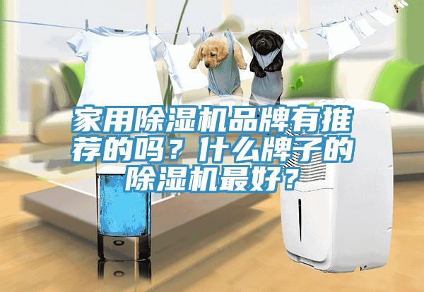 家用杏仁直播app最新版下载品牌有推荐的吗？什么牌子的杏仁直播app最新版下载最好？