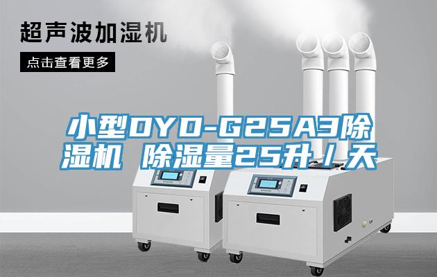 小型DYD-G25A3杏仁直播app最新版下载 除湿量25升／天