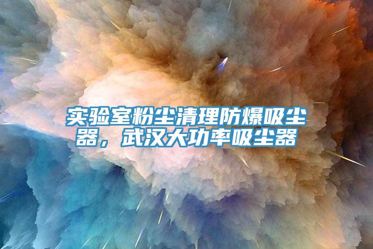 实验室粉尘清理防爆吸尘器，武汉大功率吸尘器