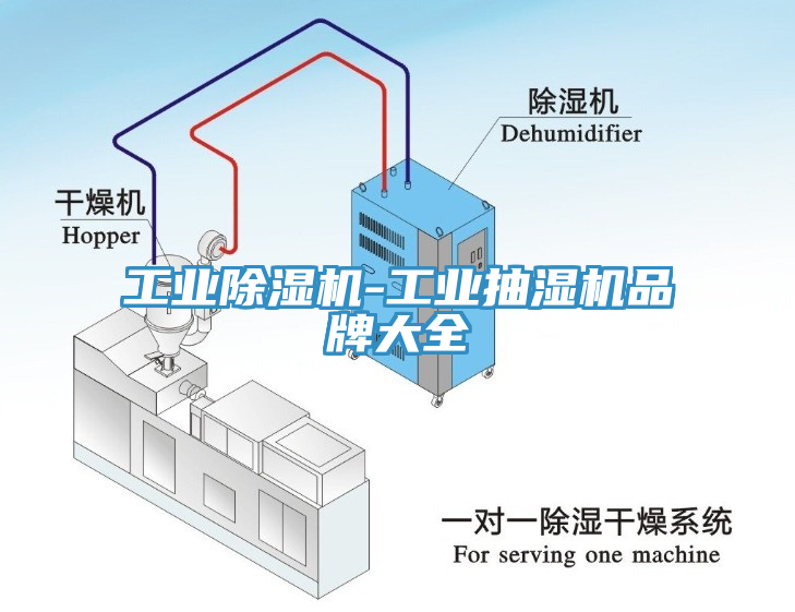 工业杏仁直播app最新版下载-工业抽湿机品牌大全