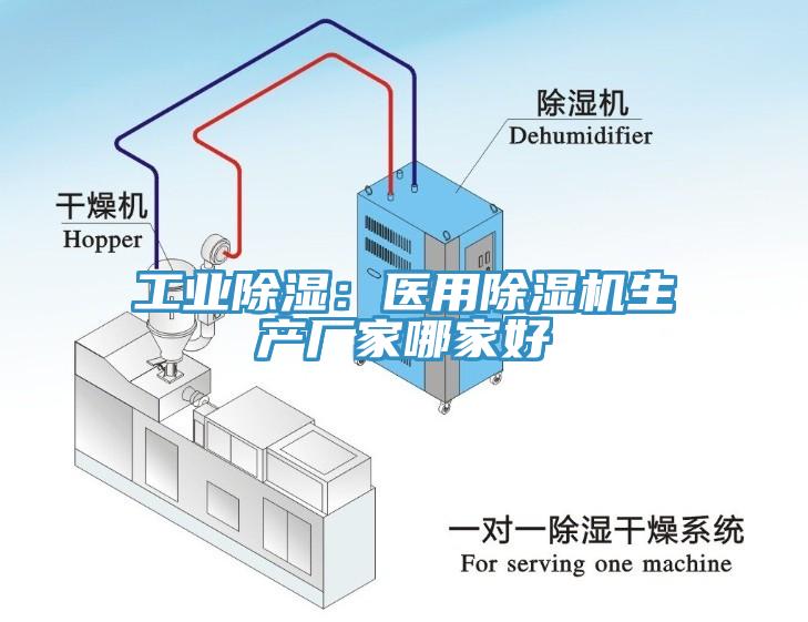 工业除湿：医用杏仁直播app最新版下载生产厂家哪家好