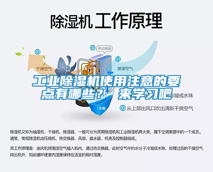 工业杏仁直播app最新版下载使用注意的要点有哪些？ 来学习吧