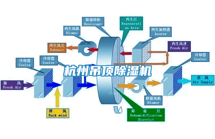 杭州吊顶杏仁直播app最新版下载