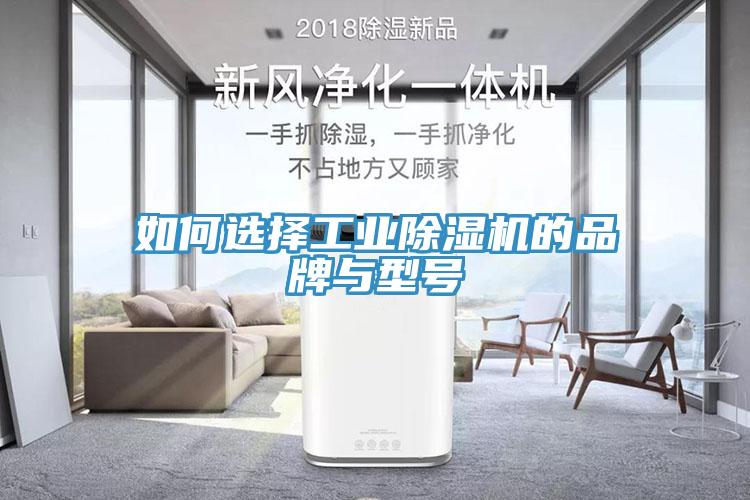 如何选择工业杏仁直播app最新版下载的品牌与型号