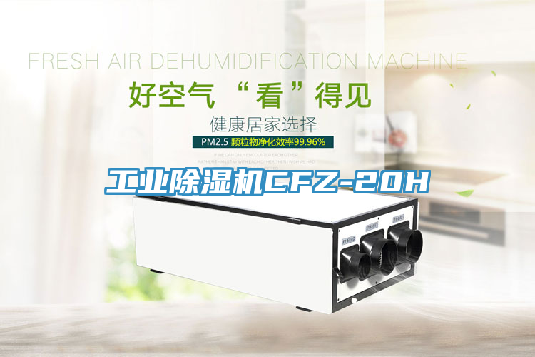 工业杏仁直播app最新版下载CFZ-20H