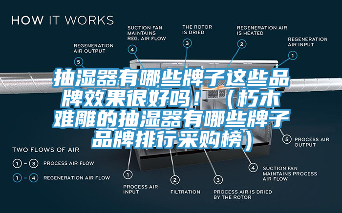 抽湿器有哪些牌子这些品牌效果很好吗！（朽木难雕的抽湿器有哪些牌子品牌排行采购榜）