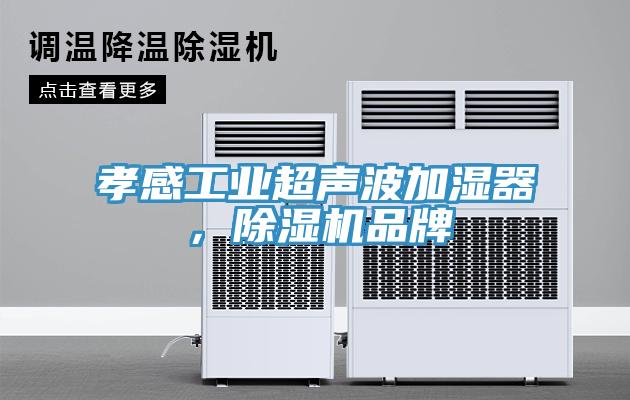 孝感工业超声波加湿器，杏仁直播app最新版下载品牌