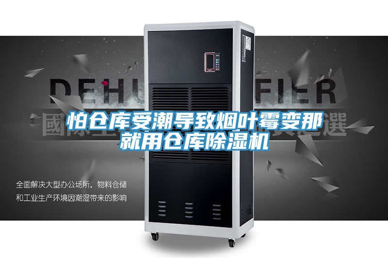 怕仓库受潮导致烟叶霉变那就用仓库杏仁直播app最新版下载