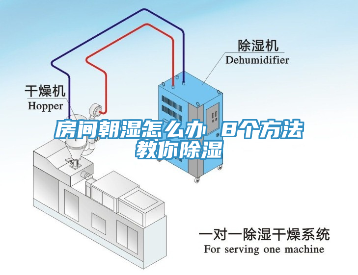 房间朝湿怎么办 8个方法教你除湿