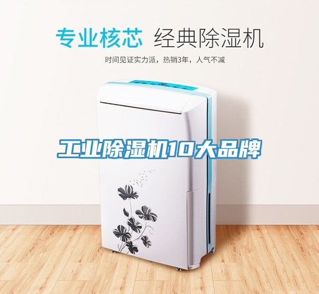 工业杏仁直播app最新版下载10大品牌