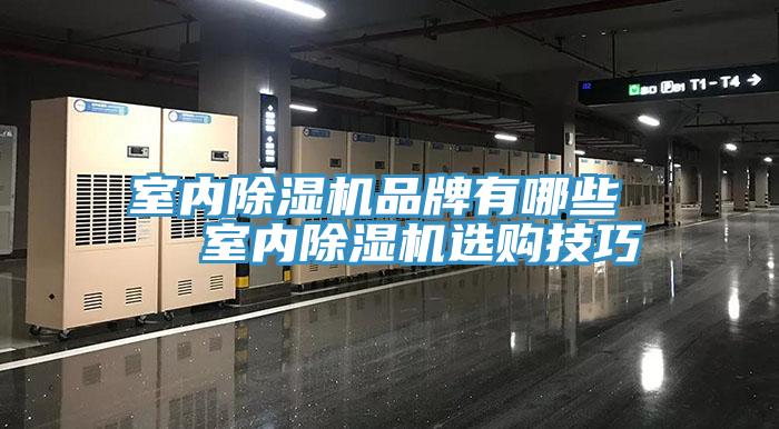 室内杏仁直播app最新版下载品牌有哪些   室内杏仁直播app最新版下载选购技巧