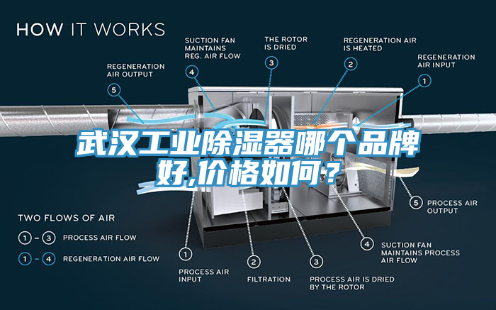 武汉工业除湿器哪个品牌好,价格如何？