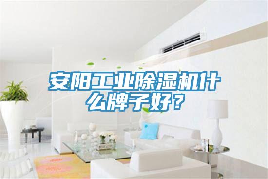 安阳工业杏仁直播app最新版下载什么牌子好？