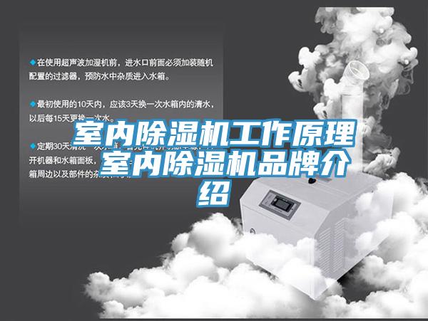 室内杏仁直播app最新版下载工作原理 室内杏仁直播app最新版下载品牌介绍