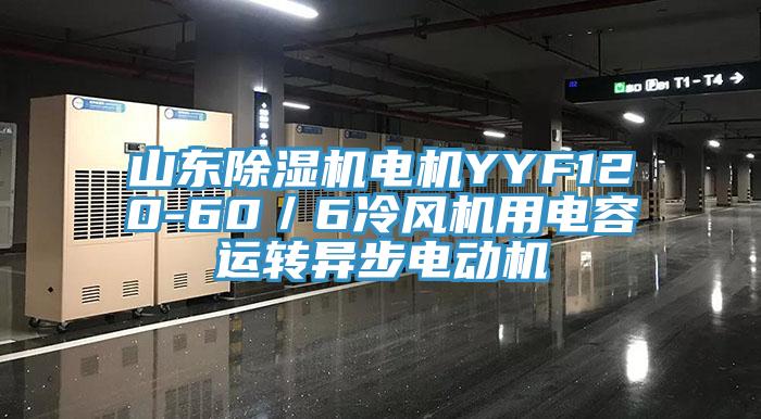 山东杏仁直播app最新版下载电机YYF120-60／6冷风机用电容运转异步电动机