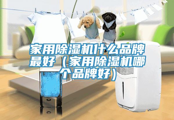 家用杏仁直播app最新版下载什么品牌最好（家用杏仁直播app最新版下载哪个品牌好）