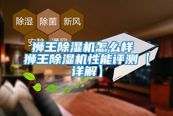 狮王杏仁直播app最新版下载怎么样 狮王杏仁直播app最新版下载性能评测【详解】