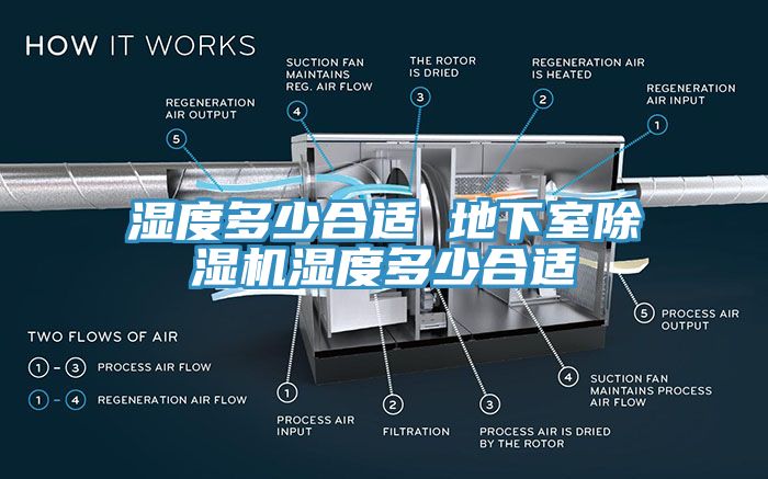 湿度多少合适 地下室杏仁直播app最新版下载湿度多少合适