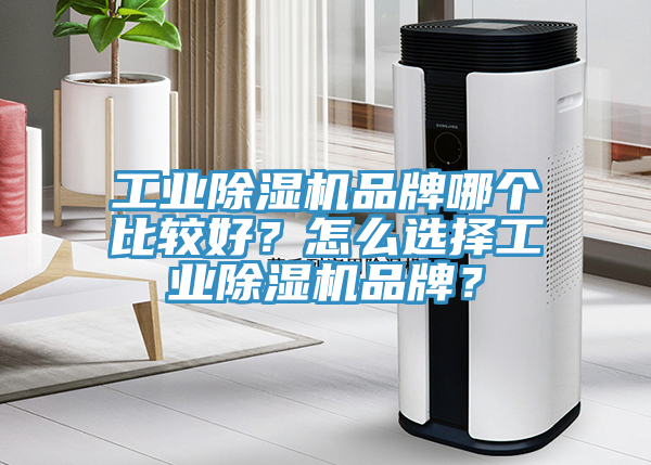 工业杏仁直播app最新版下载品牌哪个比较好？怎么选择工业杏仁直播app最新版下载品牌？