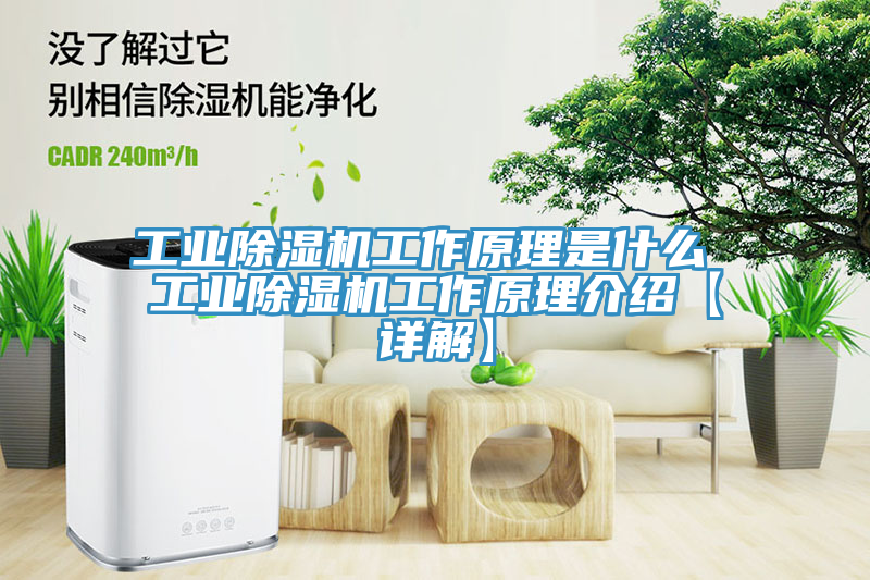 工业杏仁直播app最新版下载工作原理是什么 工业杏仁直播app最新版下载工作原理介绍【详解】