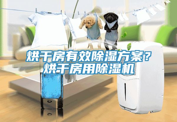 烘干房有效除湿方案？烘干房用杏仁直播app最新版下载