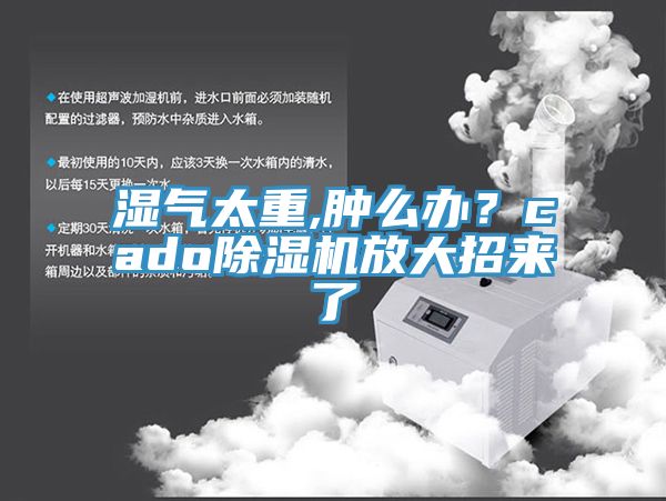 湿气太重,肿么办？cado杏仁直播app最新版下载放大招来了