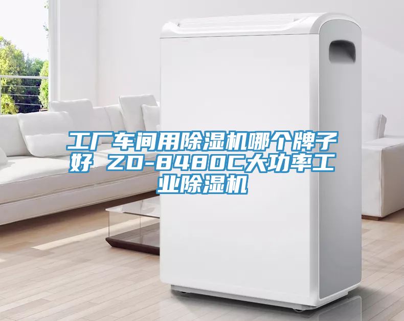 工厂车间用杏仁直播app最新版下载哪个牌子好 ZD-8480C大功率工业杏仁直播app最新版下载