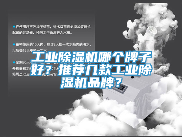 工业杏仁直播app最新版下载哪个牌子好？推荐几款工业杏仁直播app最新版下载品牌？