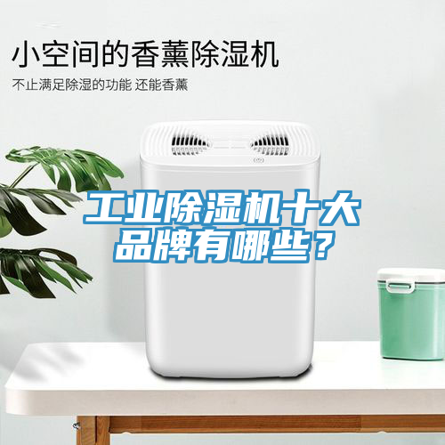 工业杏仁直播app最新版下载十大品牌有哪些？