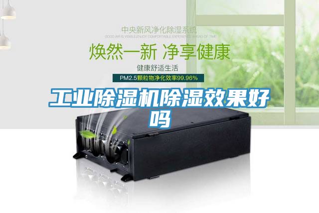 工业杏仁直播app最新版下载除湿效果好吗