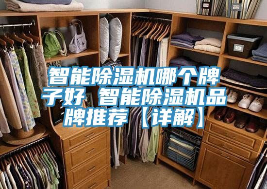 智能杏仁直播app最新版下载哪个牌子好 智能杏仁直播app最新版下载品牌推荐【详解】