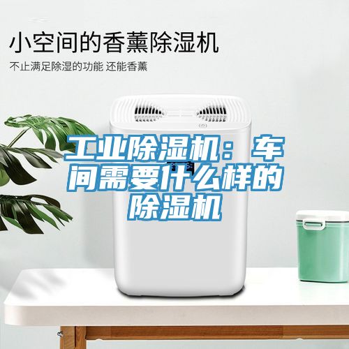 工业杏仁直播app最新版下载：车间需要什么样的杏仁直播app最新版下载