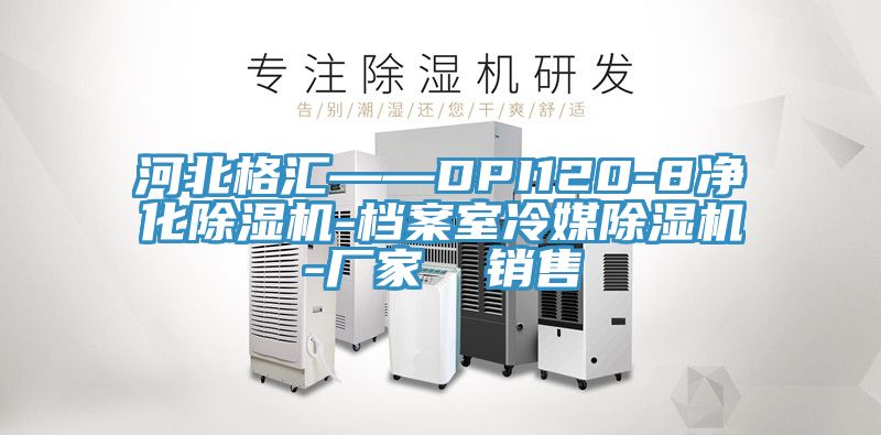 河北格汇——DPI120-8净化杏仁直播app最新版下载-档案室冷媒杏仁直播app最新版下载-厂家  销售