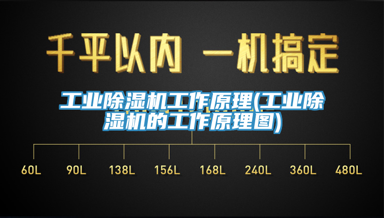 工业杏仁直播app最新版下载工作原理(工业杏仁直播app最新版下载的工作原理图)