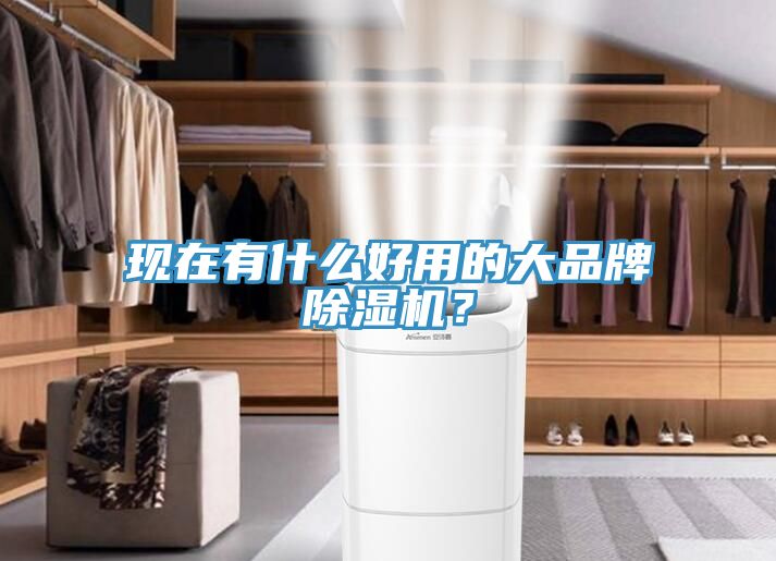 现在有什么好用的大品牌杏仁直播app最新版下载？