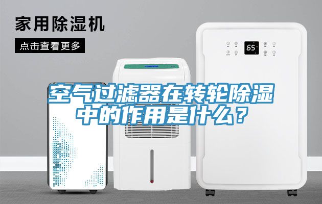 空气过滤器在转轮除湿中的作用是什么？