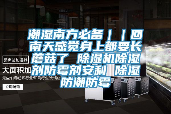 潮湿南方必备｜｜回南天感觉身上都要长蘑菇了 杏仁直播app最新版下载除湿剂防霉剂安利 除湿防潮防霉