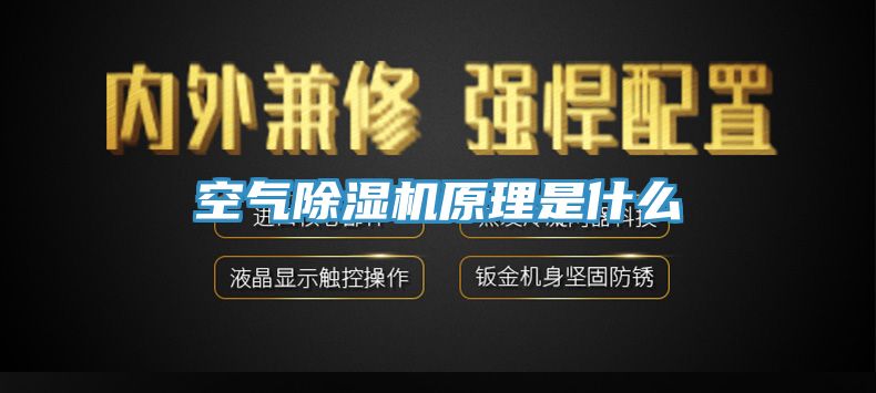 空气杏仁直播app最新版下载原理是什么