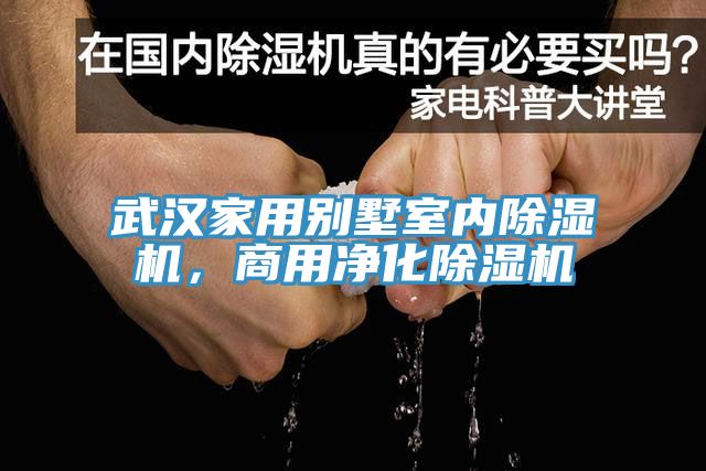 武汉家用别墅室内杏仁直播app最新版下载，商用净化杏仁直播app最新版下载