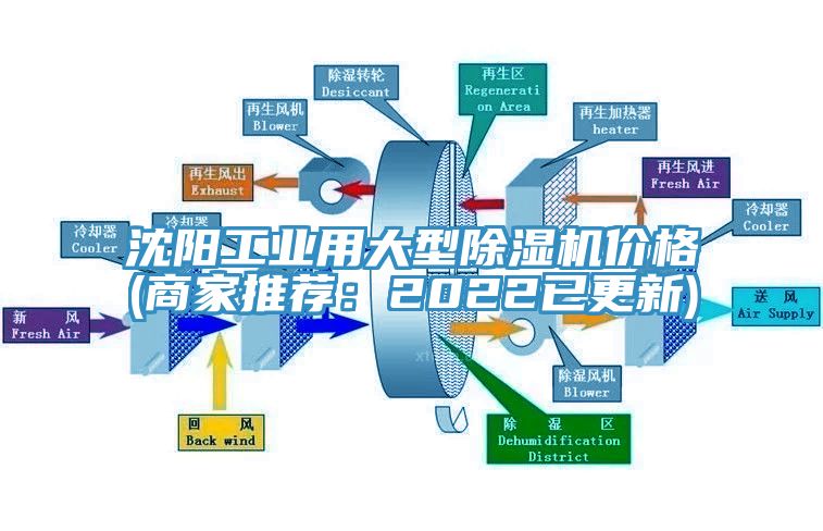 沈阳工业用大型杏仁直播app最新版下载价格(商家推荐：2022已更新)