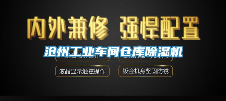 沧州工业车间仓库杏仁直播app最新版下载