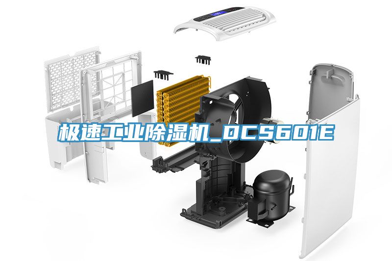 极速工业杏仁直播app最新版下载_DCS601E