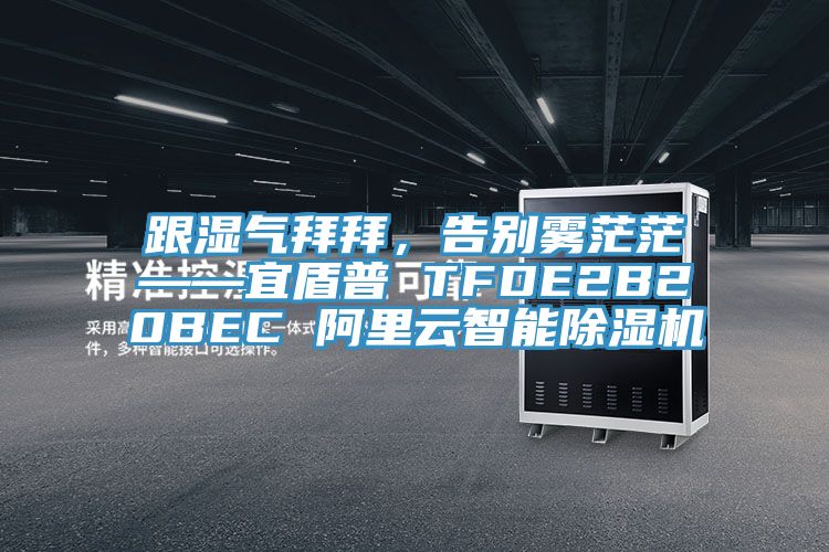 跟湿气拜拜，告别雾茫茫——宜盾普 TFDE2B20BEC 阿里云智能杏仁直播app最新版下载